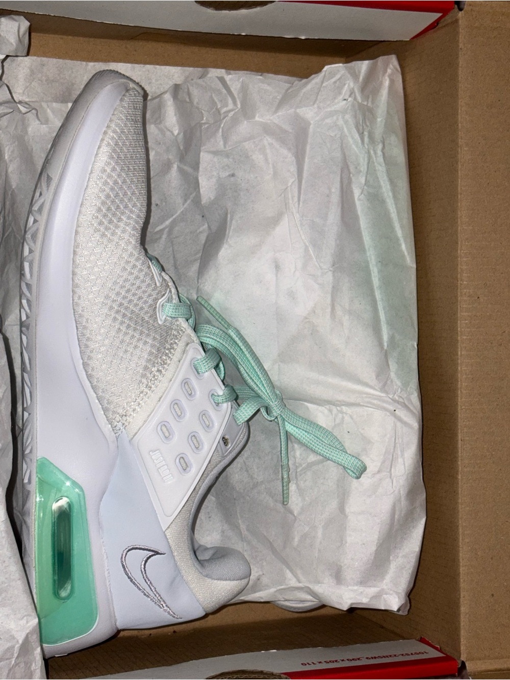 Nike Women’s Air Max Knit Sneaker in White and Mint